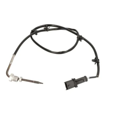 Afbeelding van Delphi Diesel Sensor uitlaatgastemperatuur TS30235