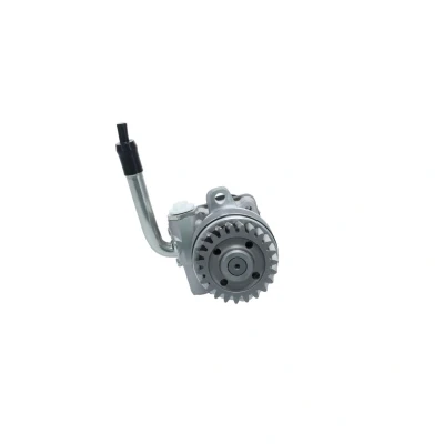 Afbeelding van Bosch Servopomp K S02 000 023