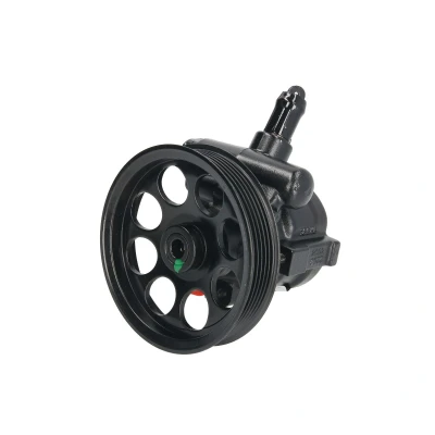 Afbeelding van Lauber Servopomp 55.0804