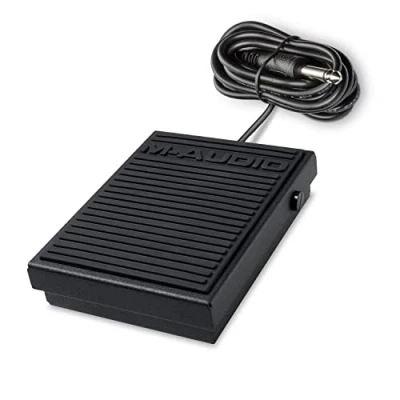 Afbeelding van M Audio SP 1 Universeel sustainpedaal voor MIDI keyboards, digitale piano&#039;s, elektronische piano&#039;s en meer