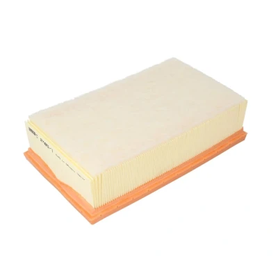Afbeelding van Mann filter Luchtfilter C 2485/1