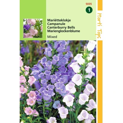 Afbeelding van 2 stuks Hortitops Campanula Medium Enkelbloemig Gemengd