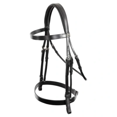 Afbeelding van BR Hunter hoofdstel Kempston Cob Zilver Zwart