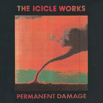 Afbeelding van Icicle Works Permanent Damage