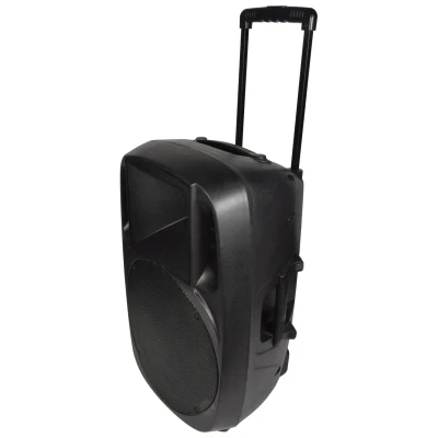 Afbeelding van QTX Full Range 15 inch PA luidspreker met intrekbare trolley handvat, 35 mm paal mount &amp; 300 Watt Max Output