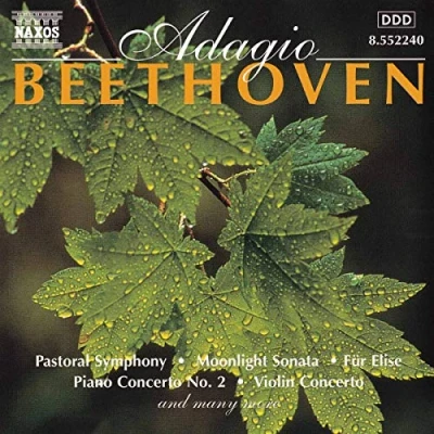 Afbeelding van Various Artists Adagio Beethoven (CD)