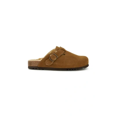 Afbeelding van SCHOLL FAE NEW F Suede SA Womens Taupe FALSO Clogs Maat 36
