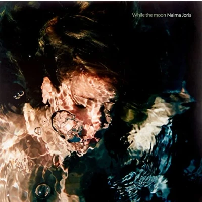 Afbeelding van Naima Joris While The Moon (LP)