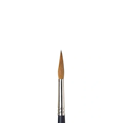 Afbeelding van Winsor &amp; Newton 5068008 Sable aquarelpenseel van Kolinski voor uitstekende verfcapaciteit, veerkracht en uiterste nauwkeurigheid Rondpenseel Pointed Nr. 8 4,9 mm lange Steel