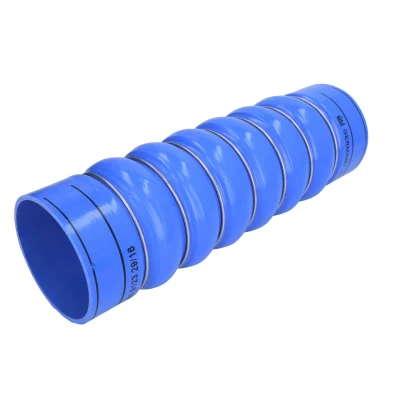 Afbeelding van Febi Bilstein Laadlucht /turboslang 47682