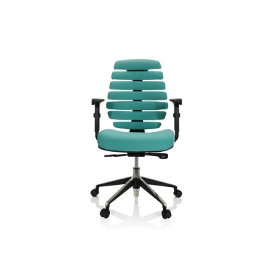 Afbeelding van Ergonomische bureaustoel 101 model Ruggengraatstoel in Turquoise
