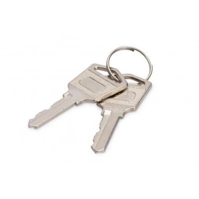 Afbeelding van Digitus DN 45000 KEY rack toebehoren Vergrendelsleutel