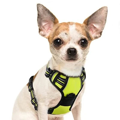 Afbeelding van Eagloo Hondentuig Harnas voor kleine en middelgrote honden Anti pull Borst Geen Veiligheidsharnas Auto Hond Labrador Puppy Jogging Breakaway Zacht Gewatteerd Groen S