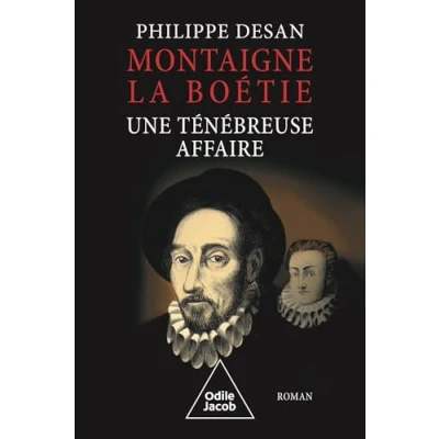 Afbeelding van Montaigne La Boétie, une ténébreuse affaire