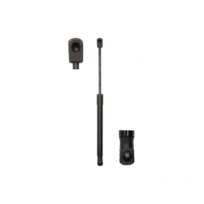 Afbeelding van Magnum Technology Gasveer MGS0032