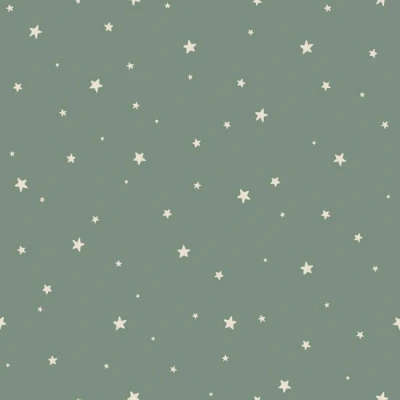 Afbeelding van Esta Home Sterren 139689 (*Gratis Lijm) Groen Blauw