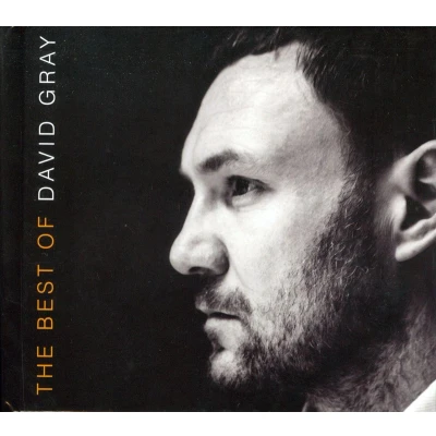 Afbeelding van Gray David Best Of David.. Deluxe