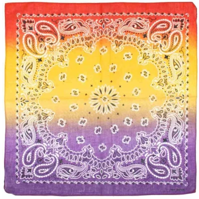 Afbeelding van Zac&#039;s Alter Ego Red, Yellow &amp; Purple Tri Tone Paisley Bandana Multicolours