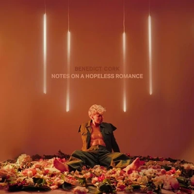 Afbeelding van Notes On a Hopeless Romance