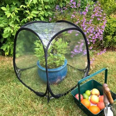 Afbeelding van Mini pop up Cloche 50cm