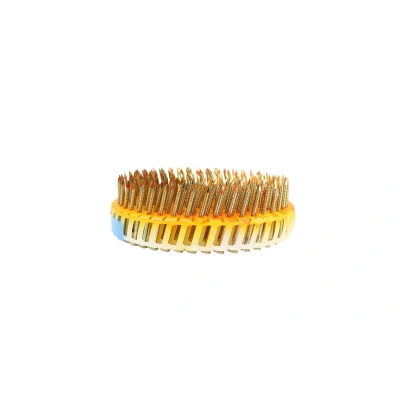 Afbeelding van Platkop Rolnagels Verzinkt 2.3 2.5 x 55 mm Rol 200 stuks