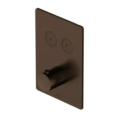 Afbeelding van HotBath Cobber Afbouwdeel Inbouwthermostaat met 2 pushbuttons Verouderd Messing PB009QEXTAB