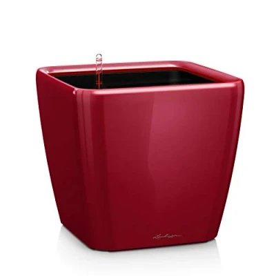 Afbeelding van Lechuza Quadro premium 35 LS Scharlakenrood hoogglans