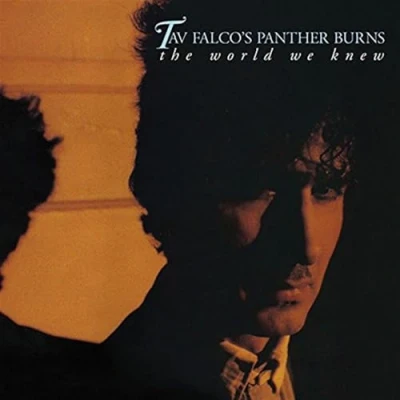 Afbeelding van Tav Falco &amp; The Panther Burns World We Knew + Shake Rag (2 CD)