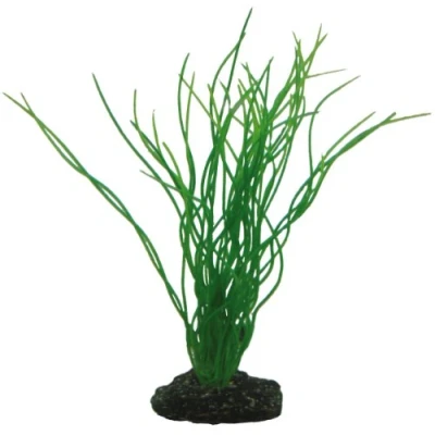 Afbeelding van Hobby 41502 Sagittaria, 20 cm