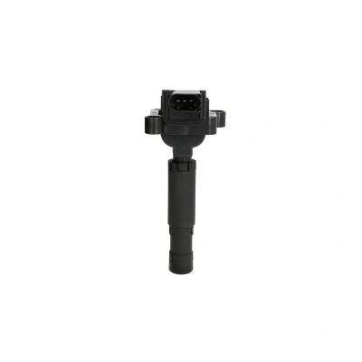 Afbeelding van Delphi Diesel Bobine GN10552 12B1