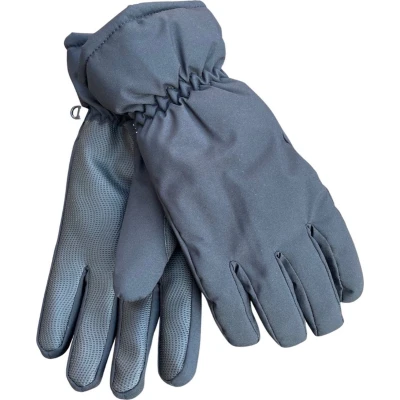 Afbeelding van Handschoenen dames winter Winddicht en waterafstotend Maat XL