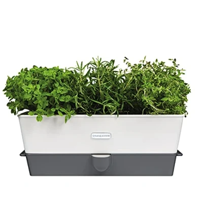 Afbeelding van Kruidenpot Cole &amp; Mason Met Waterreservoir Breed