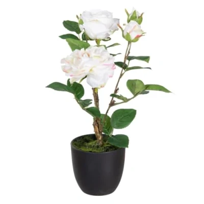 Afbeelding van Decoratieve plant Polyester Polyethyleen Ijzer Roze 27 x 38 cm