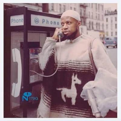 Afbeelding van Laraaji Glimpses of Infinity (LP)
