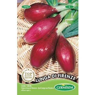 Afbeelding van Germisem Lunga di Firenze Ui Zaden 3 g