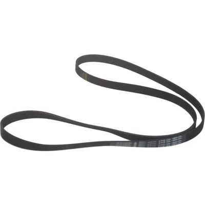 Afbeelding van Whirlpool Snaar poly v 1204 h8 elastisch 481235818167