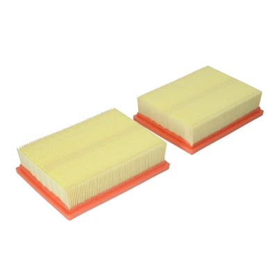 Afbeelding van Filtron Luchtfilter AP 149/2 2x