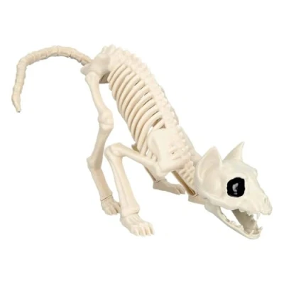 Afbeelding van Boland Kattenskelet (49 x 18 14 cm) Horror