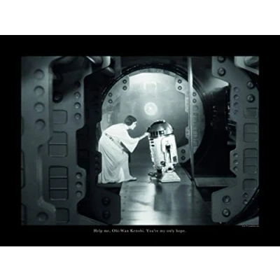 Afbeelding van Komar Poster Star Wars Classic Leia R2D2 aandeel