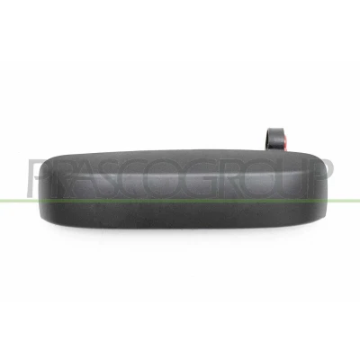 Afbeelding van Portiergreep buitenkant PRASCO FT1228104