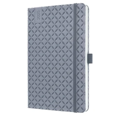 Afbeelding van 2x Weekagenda Flair A5 2025 (NL/FR/EN/DU) Glacier Grey Hardcover