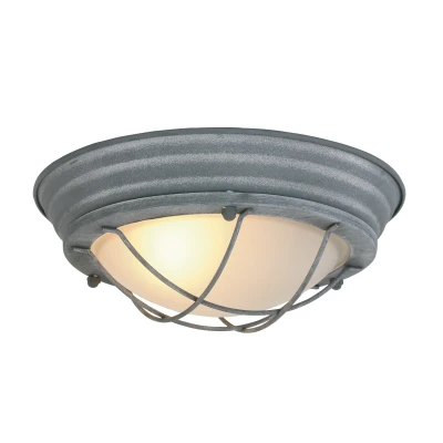 Afbeelding van Mexlite plafondlamp 1 lichts 29x11 cm grijs
