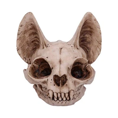 Afbeelding van Nemesis Now Bastet&#039;s Secret Cat Skull Figurine, ornament, natuurlijke beenkleur, eenheidsmaat