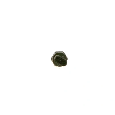 Afbeelding van Bosch Brandstofdruk sensor 0 281 006 160