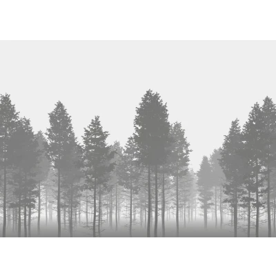 Afbeelding van Komar Vliesbehang Nebula 350x250 cm (breedte x hoogte)