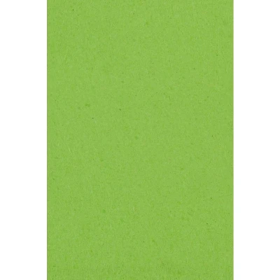 Afbeelding van Tafelkleed kiwigroen plastic 137x274cm