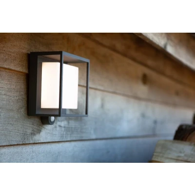 Afbeelding van LUTEC Ledsolarlamp Curtis Solarlamp, bewegingsmelder (1 stuk)
