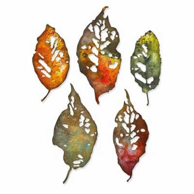 Afbeelding van Sizzix Thinlits Die Set 5PK Leaf Fragments 665559 Tim Holtz (08 21)