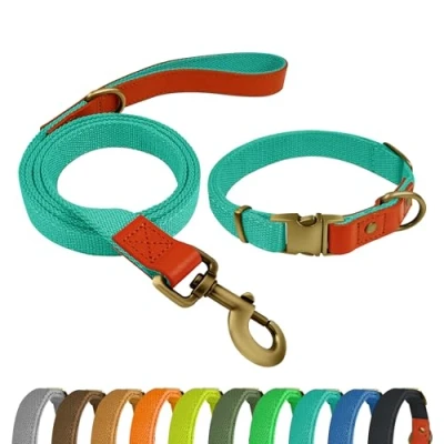 Afbeelding van Qianruida Hondenhalsband &amp; Hondenriem Set Halsband en Riem Combo Verstelbare voor Kleine, Middelgrote Grote Honden Cyaan, L