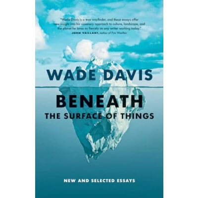 Afbeelding van Beneath the Surface of Things: New and Selected Essays